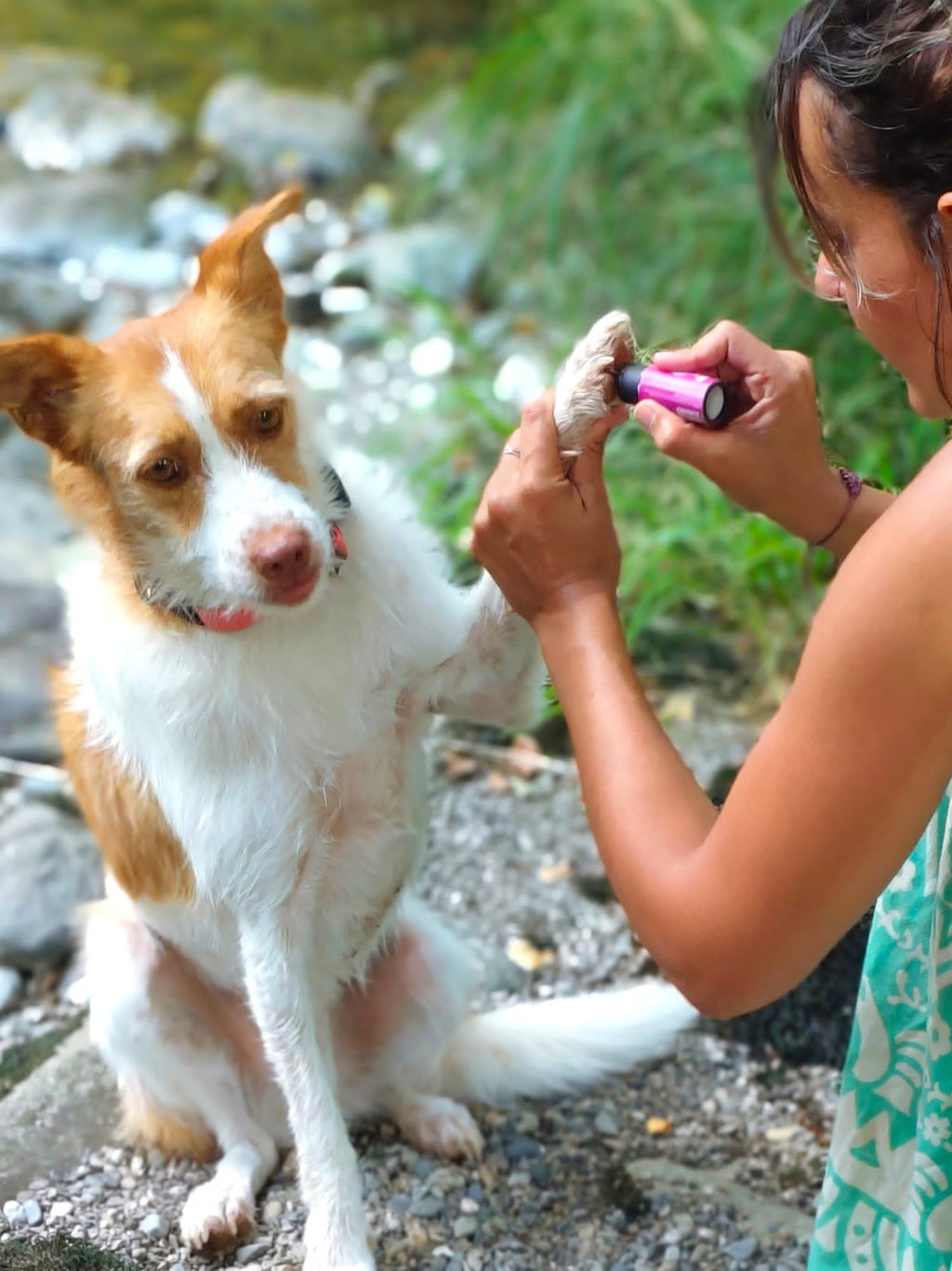 Bálsamo para patas y hocico