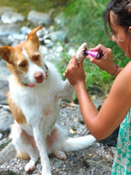 Bálsamo para patas y hocico