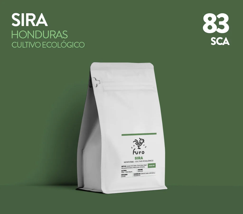 Café de especialidad ecológico