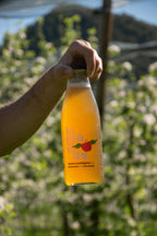 Zumo de manzana ecológico