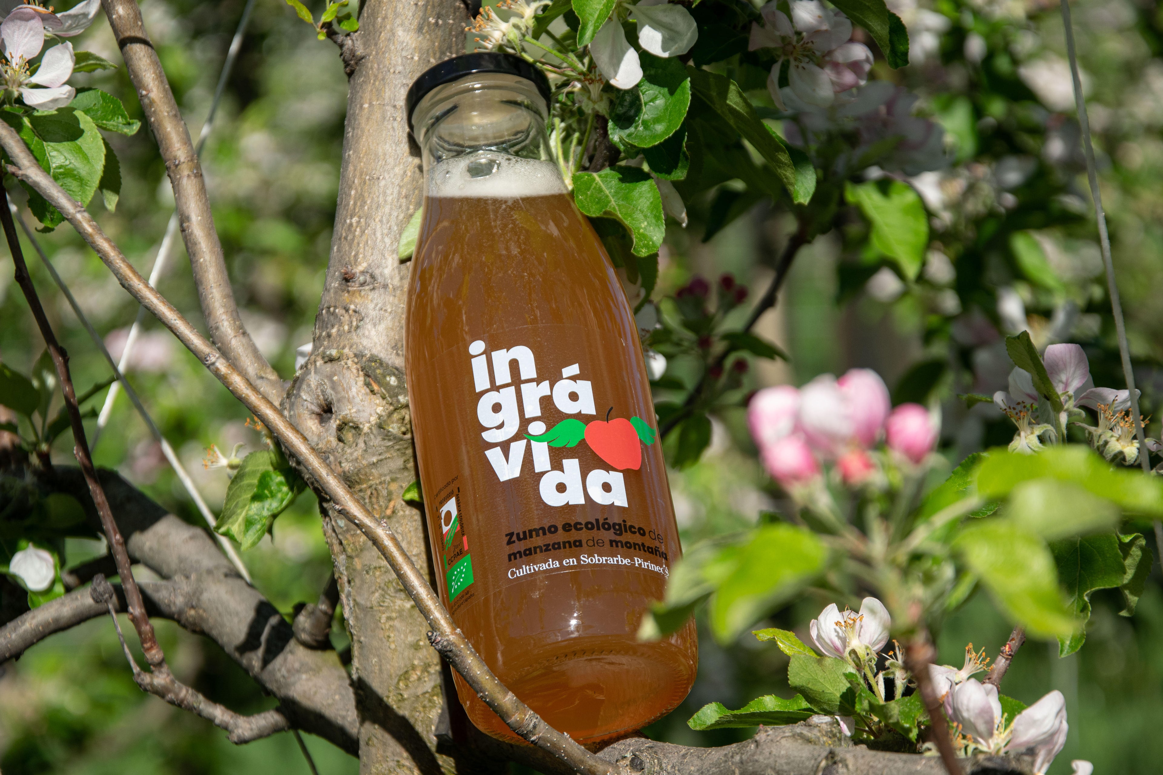 Zumo de manzana ecológico